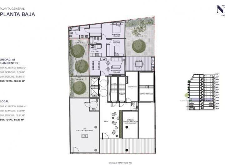 Plano 6