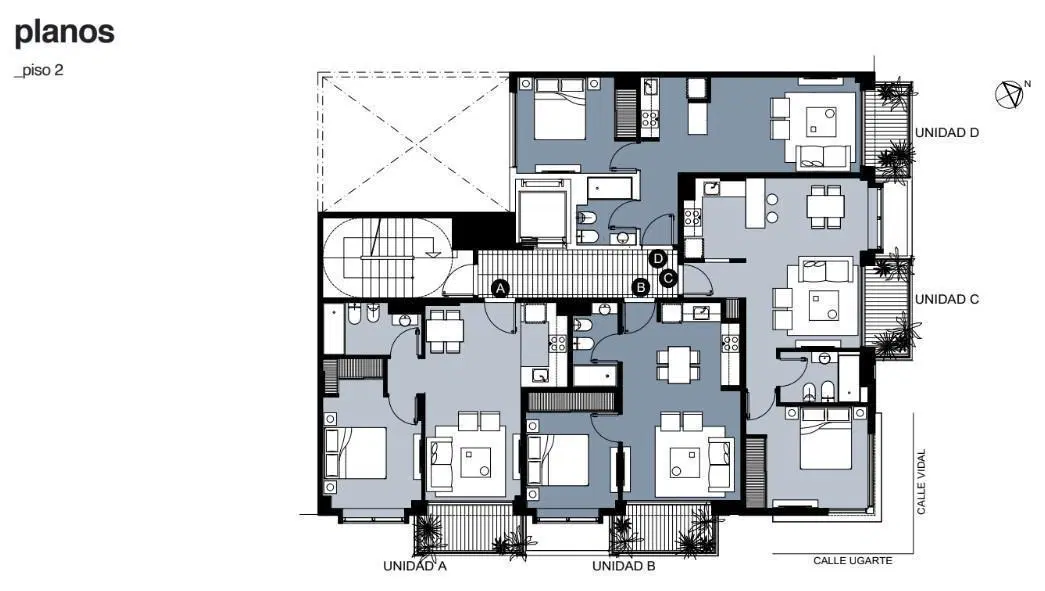Plano 6