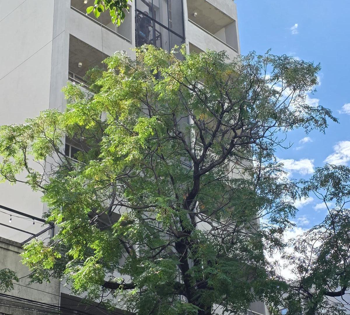 Foto de VENTA MONOAMBIENTE PREMIUM EN PALERMO | DIVISIBLE A 2 AMBIENTES | APTO, imagen 1