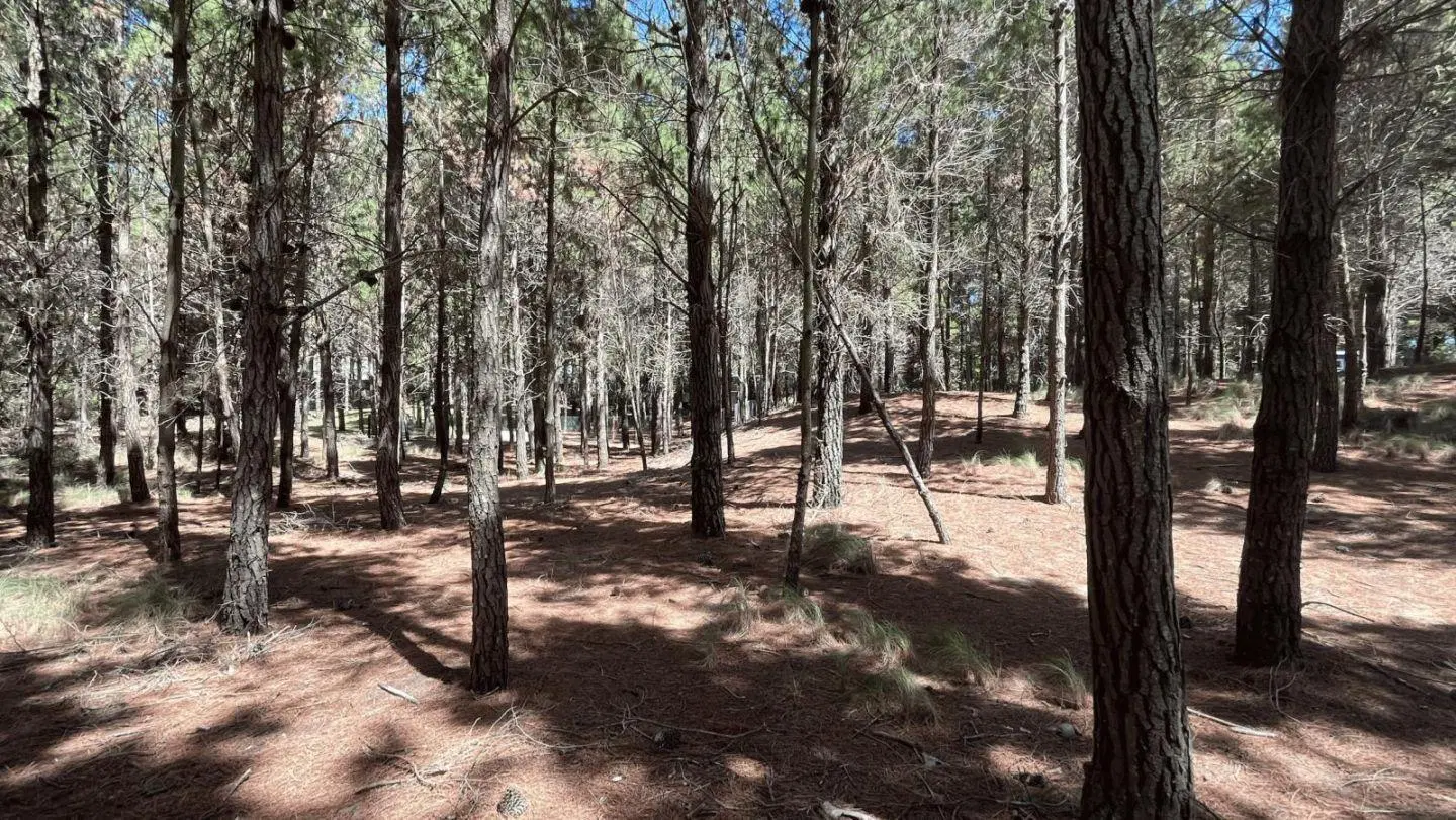 Lote en venta en Costa Esmeralda - OPORTUNIDAD 8