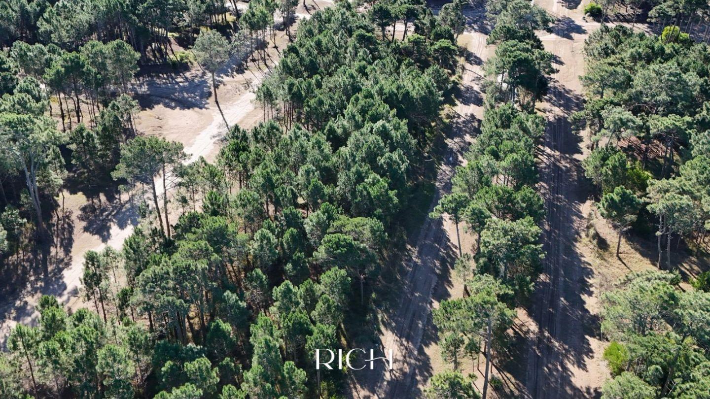 Foto de LOTE EN VENTA | BOSQUES, PINAMAR NORTE, imagen 2