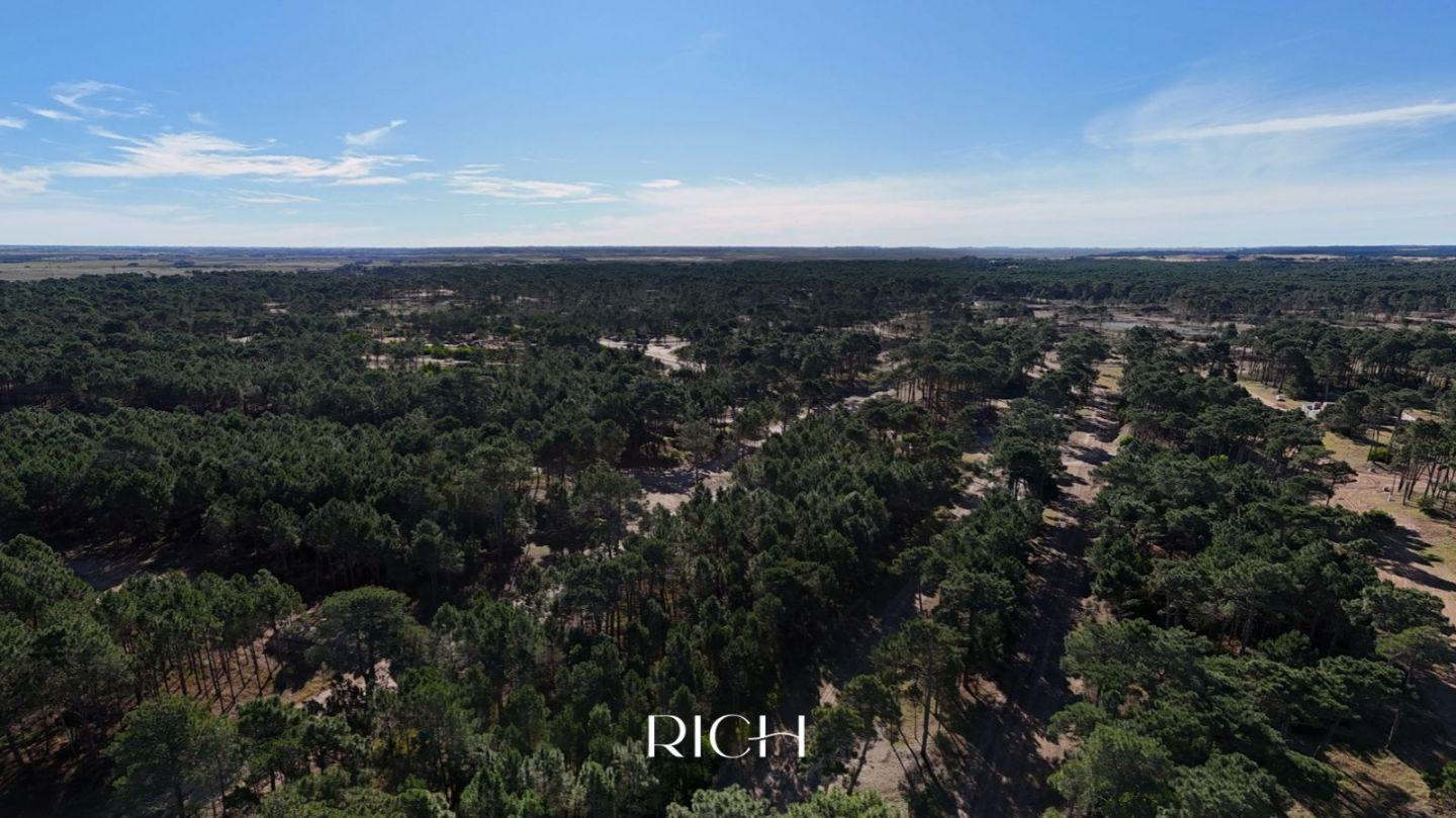 Foto de LOTE EN VENTA | BOSQUES, PINAMAR NORTE, imagen 1