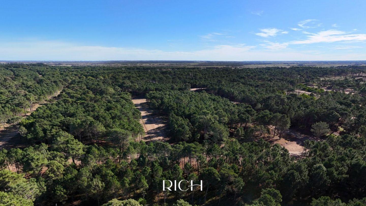 Foto de LOTE EN VENTA | BOSQUES, PINAMAR NORTE, imagen 3