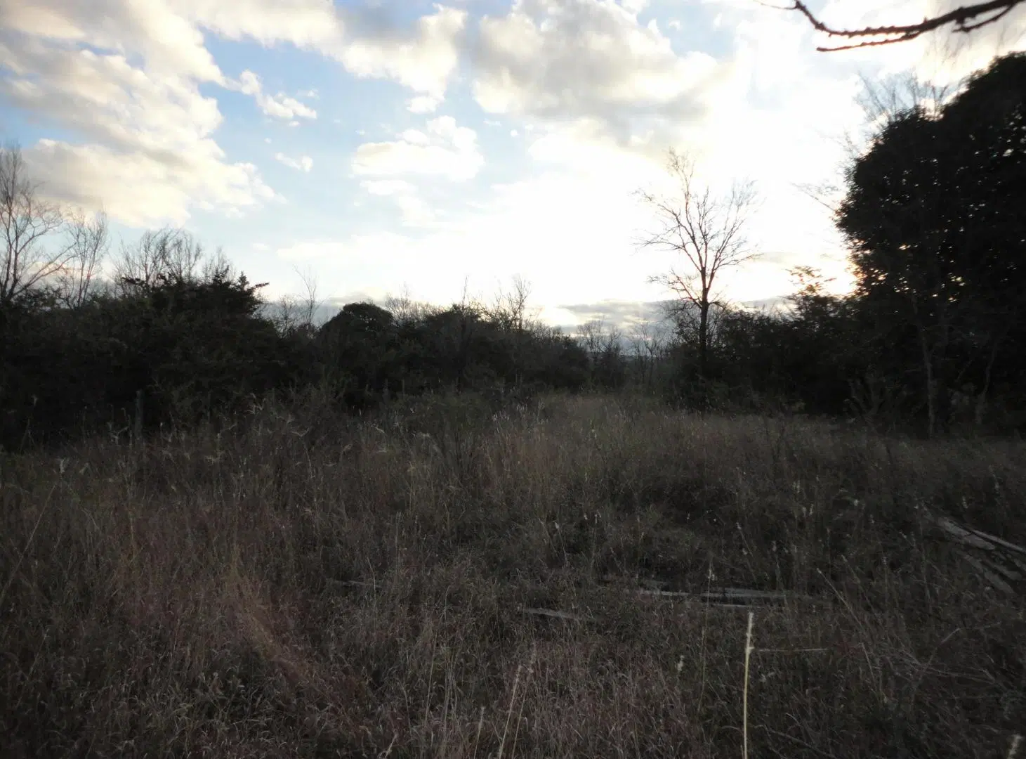 SE VENDE AMPLIO TERRENO EN CASA GRANDE A 20 MTS DE LA RUTA 38 3