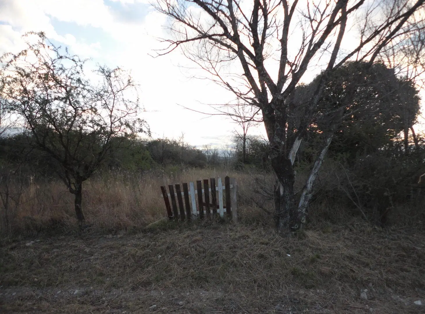 SE VENDE AMPLIO TERRENO EN CASA GRANDE A 20 MTS DE LA RUTA 38 1