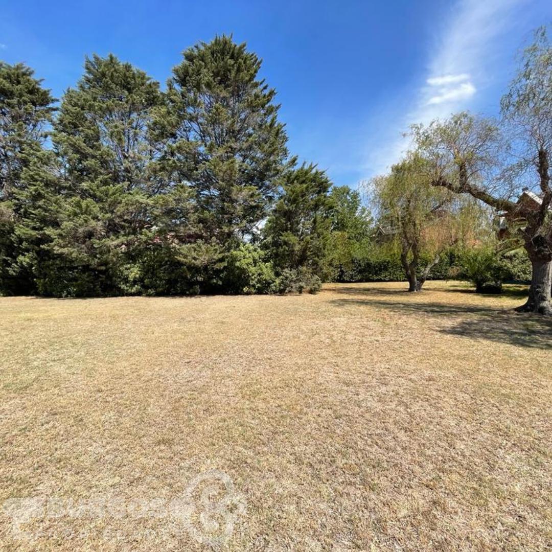 HERMOSO LOTE EN EL RODAL.