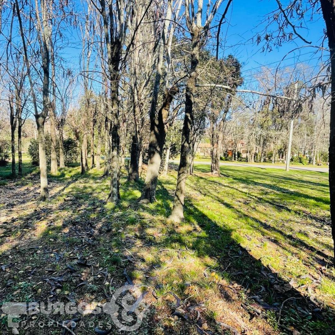 EXCELENTE LOTE, UBICACION UNICA EN BOSQUE