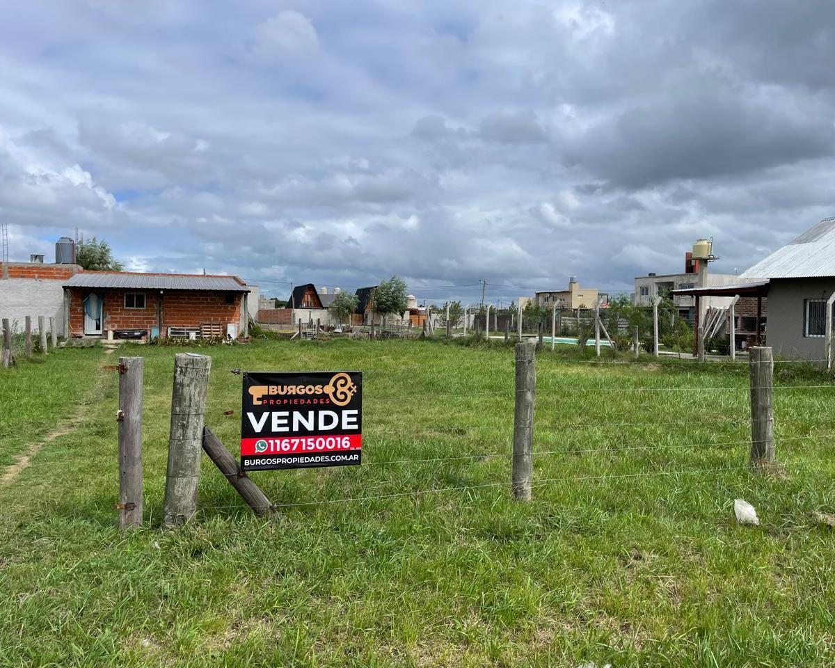 Foto de EXCELENTES LOTES A LA VENTA EN EL PORVENIR, imagen 3
