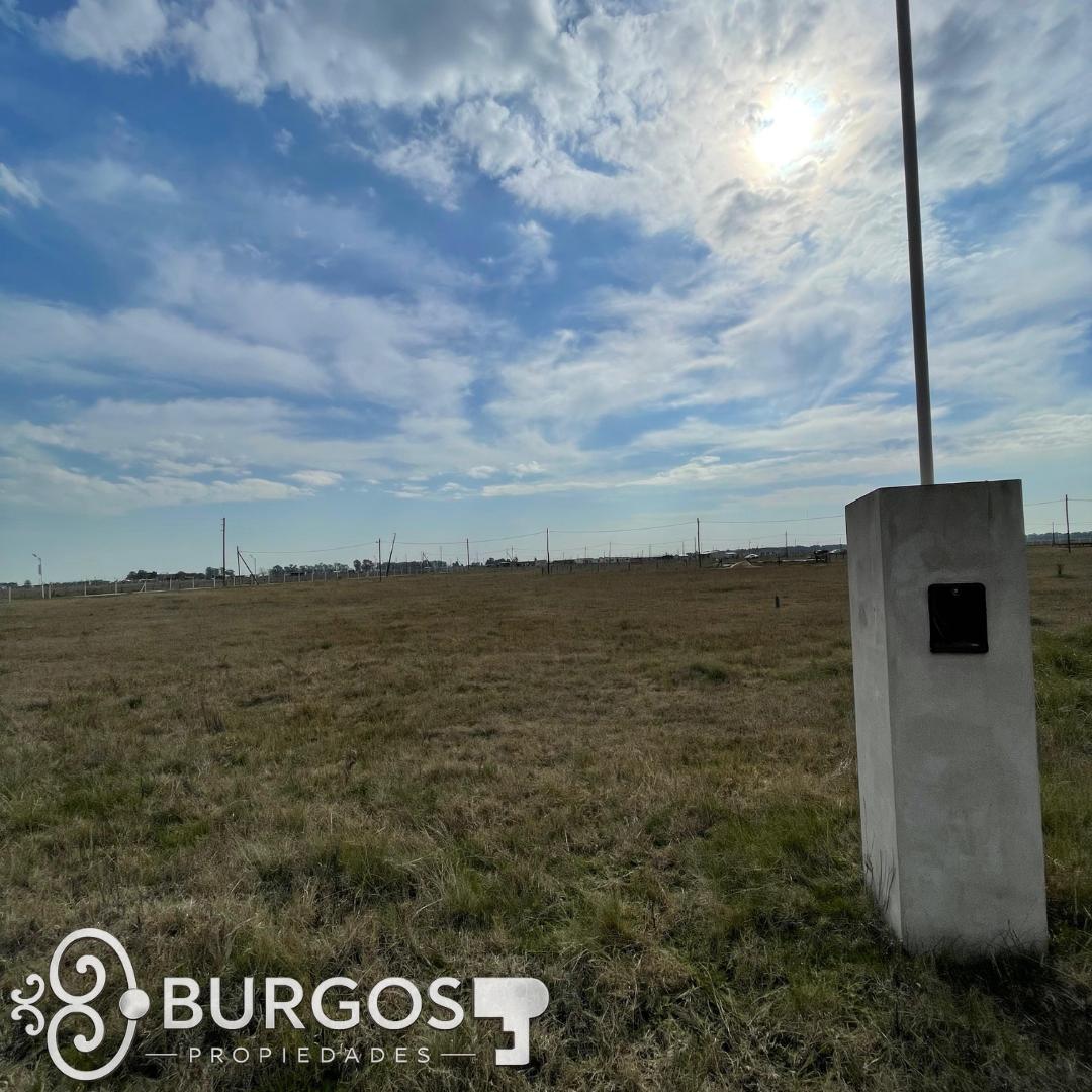 Foto de EXCELENTE LOTE EN OPORTUNIDAD, EL VIEJO UMBU, imagen 4