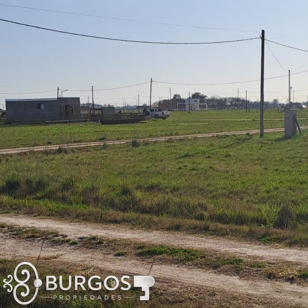 Foto de EXCELENTE LOTE EN OPORTUNIDAD, EL VIEJO UMBU, imagen 3