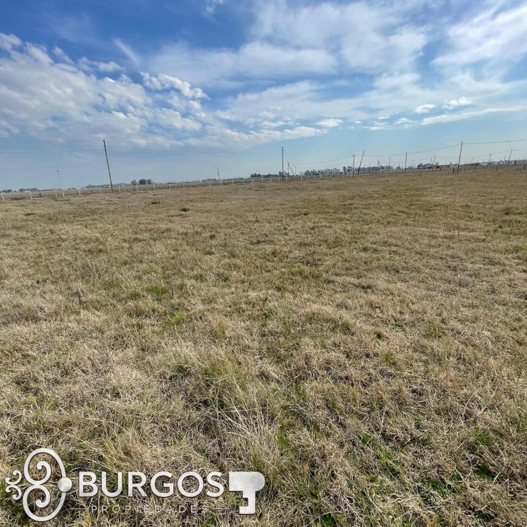 Foto de EXCELENTE LOTE EN OPORTUNIDAD, EL VIEJO UMBU, imagen 1