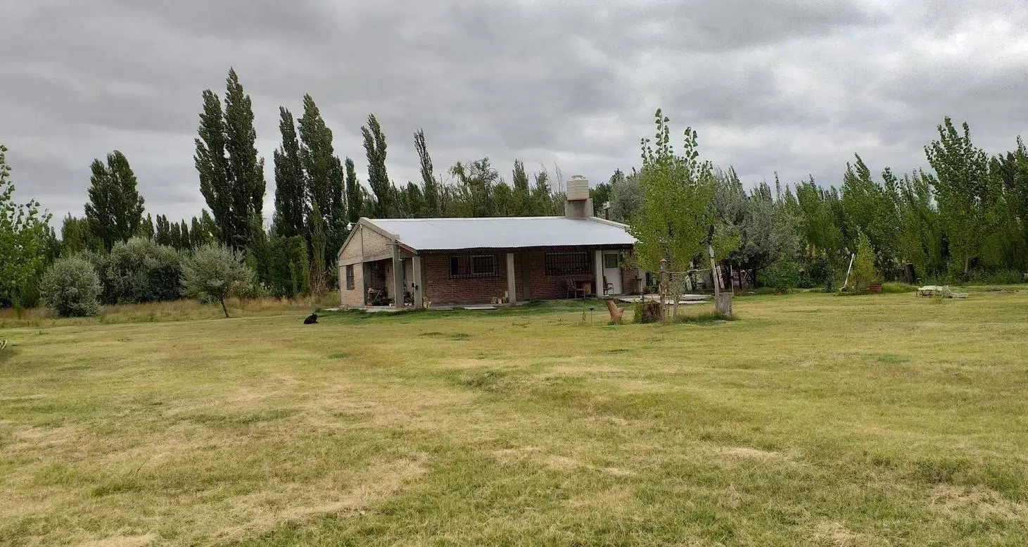 VENTA CHACRA 1,5 HA. CON CASA 2 DORM. CINCO SALTOS 4