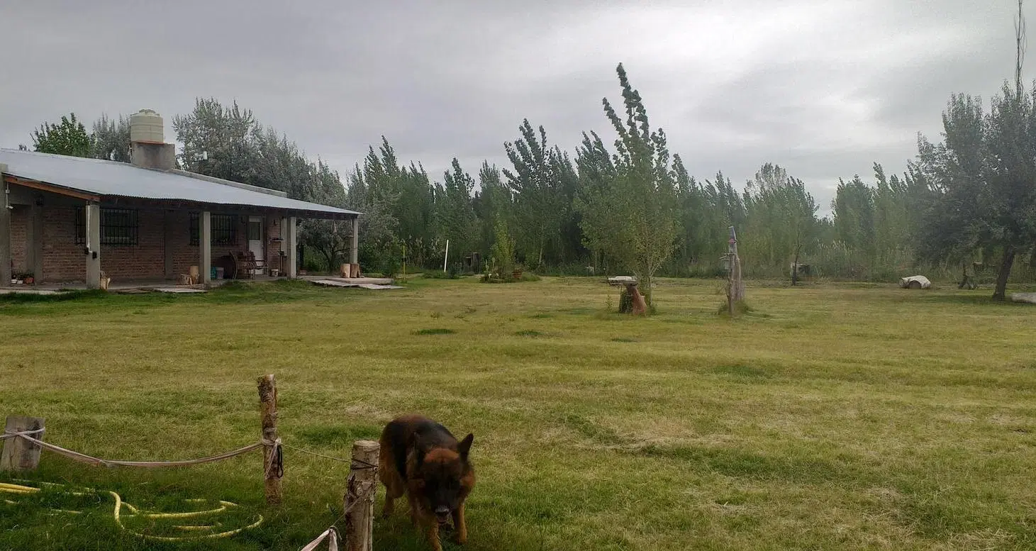 VENTA CHACRA 1,5 HA. CON CASA 2 DORM. CINCO SALTOS 5