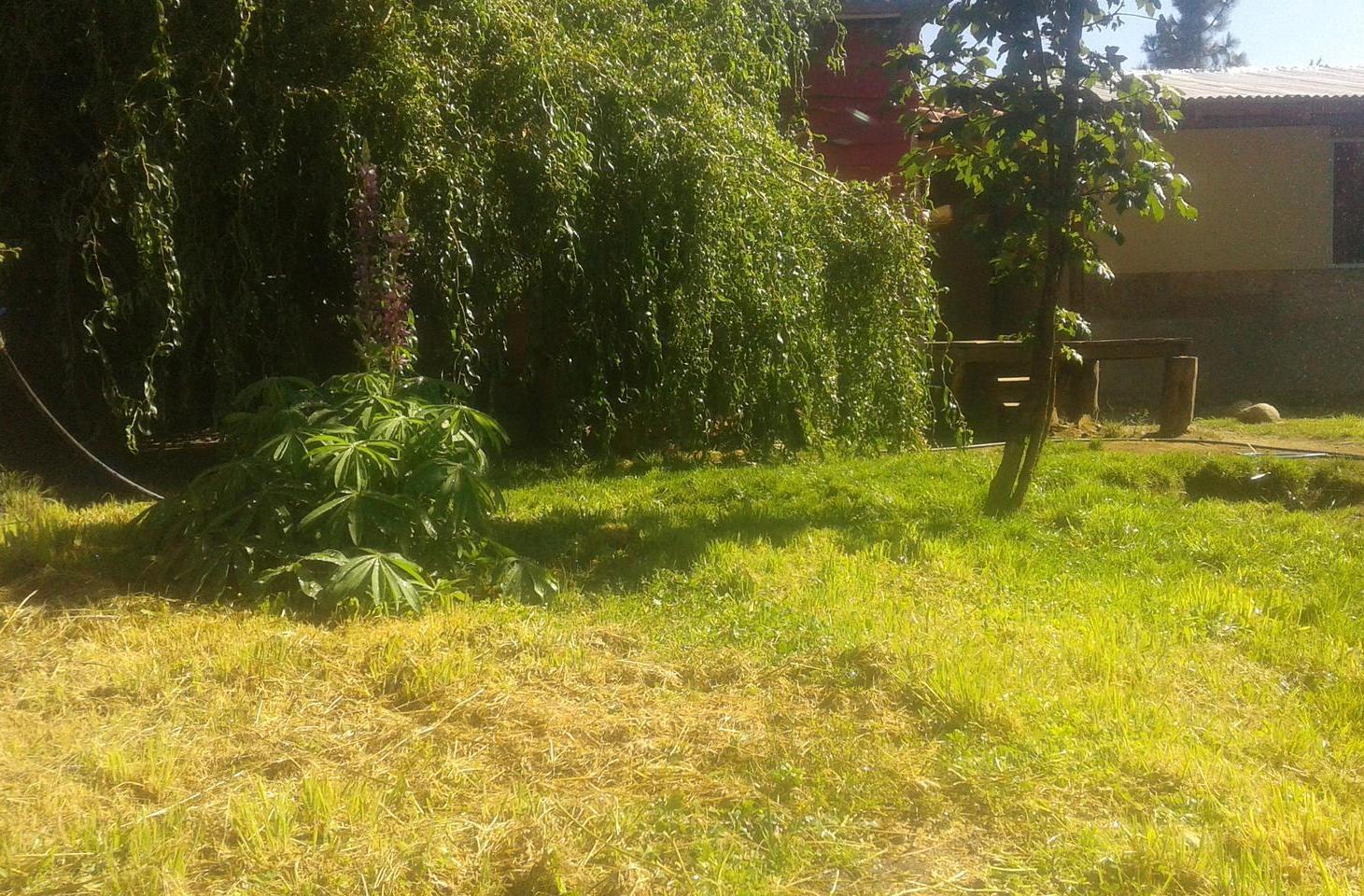 Foto de VENTA - 2 Cabañas en Lago Puelo, Chubut, imagen 4
