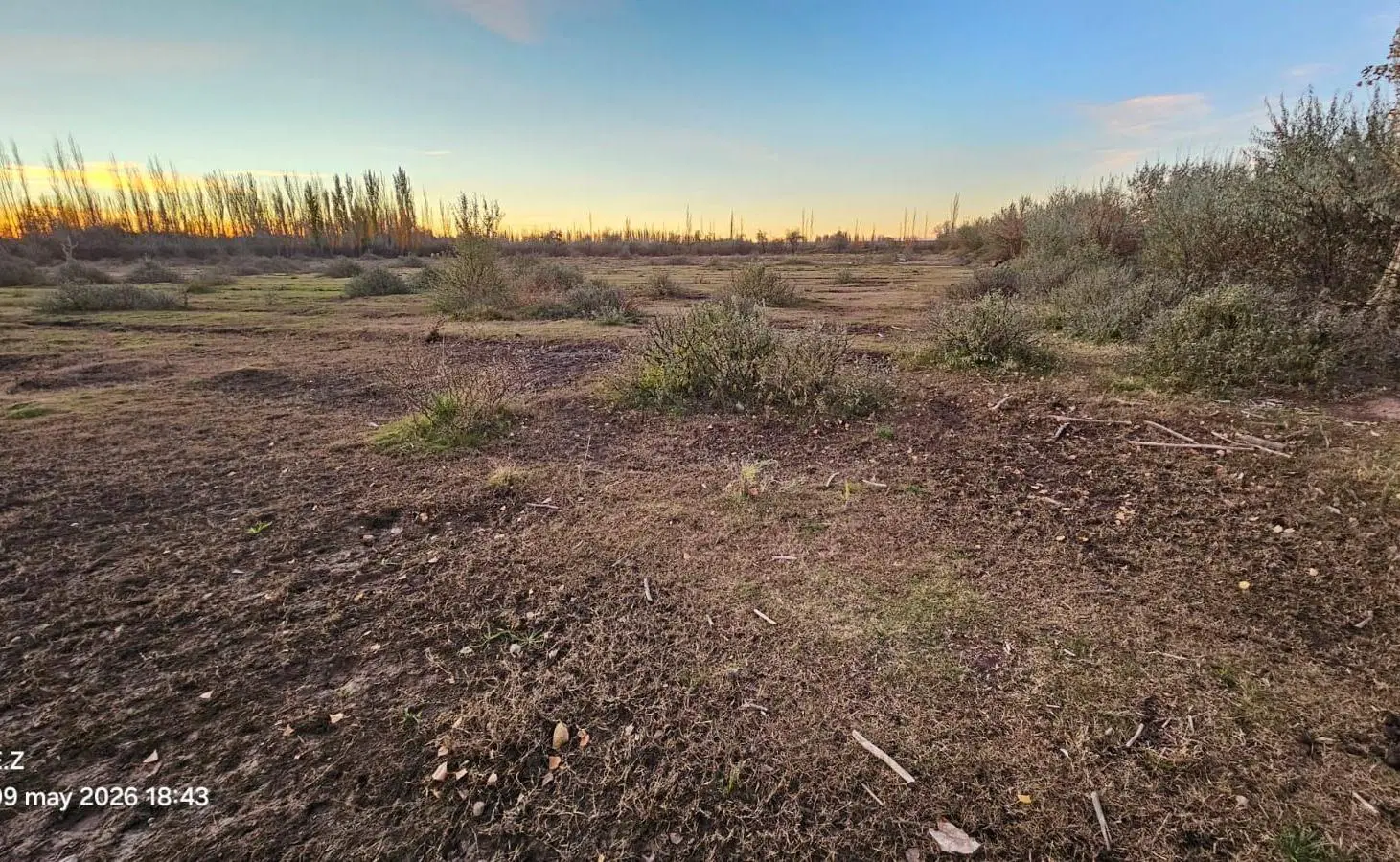 VENTA - Chacra desmalezada - 11 Ha - Sargento Vidal - Gral Roca 5