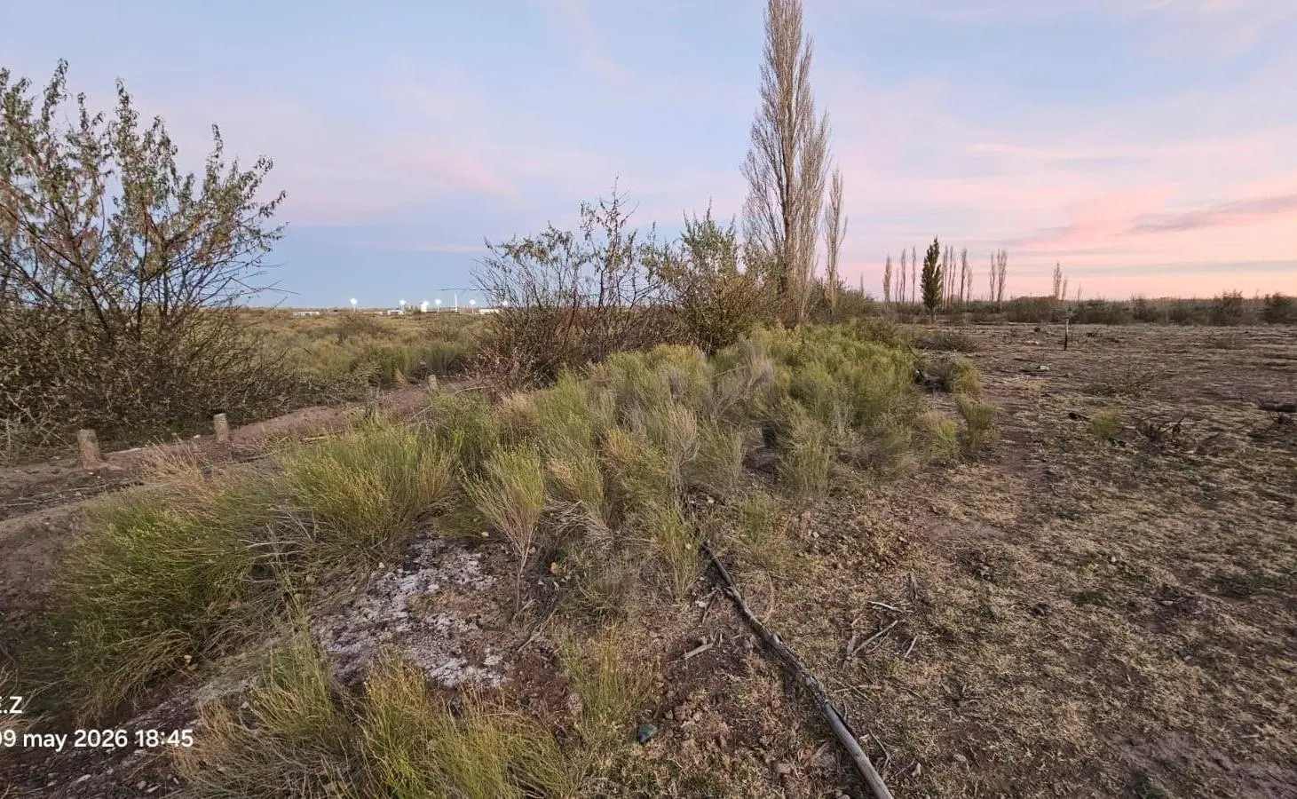 VENTA - Chacra desmalezada - 11 Ha - Sargento Vidal - Gral Roca 3