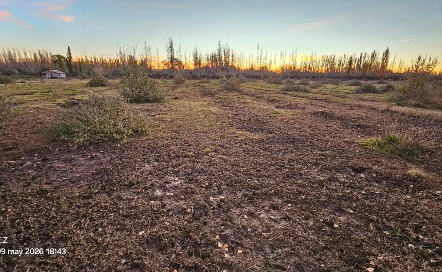 VENTA - Chacra desmalezada - 11 Ha - Sargento Vidal - Gral Roca 4