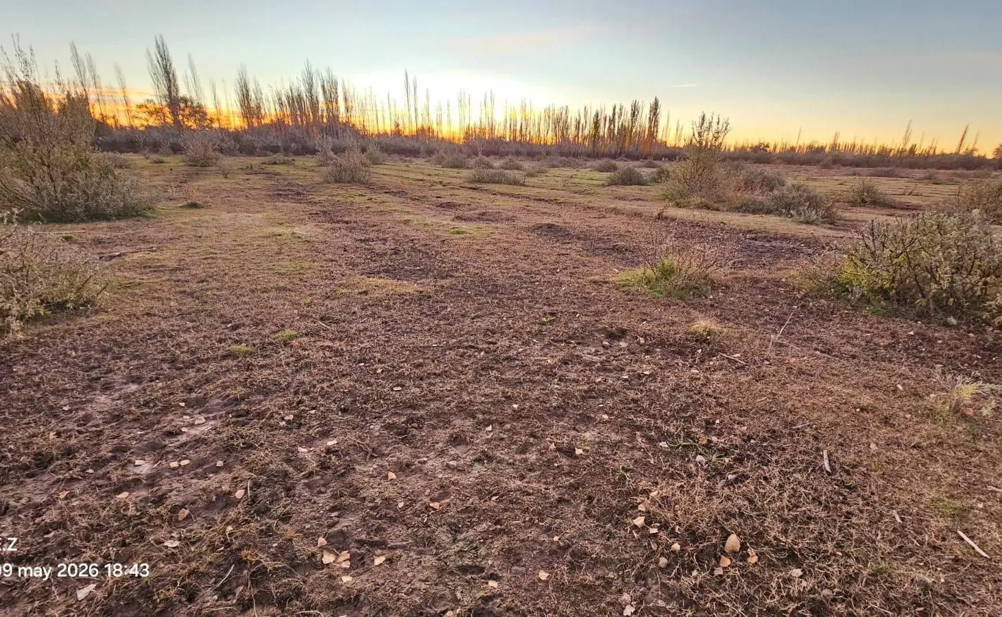 VENTA - Chacra desmalezada - 11 Ha - Sargento Vidal - Gral Roca 2