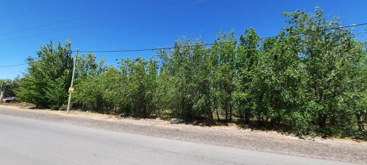 VENTA - Lote sobre Ruta 22 - Lote Fernandez Oro - Frente de Ruta - Rio Negro 2