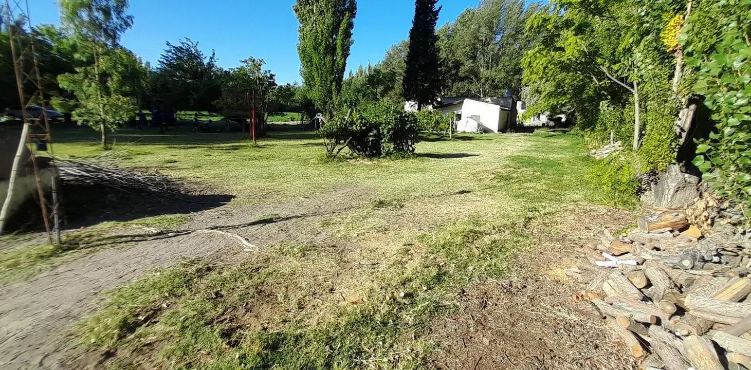 VENTA - Chacra 12 Ha - Alfalfa - Cervantes - Rio Negro 3