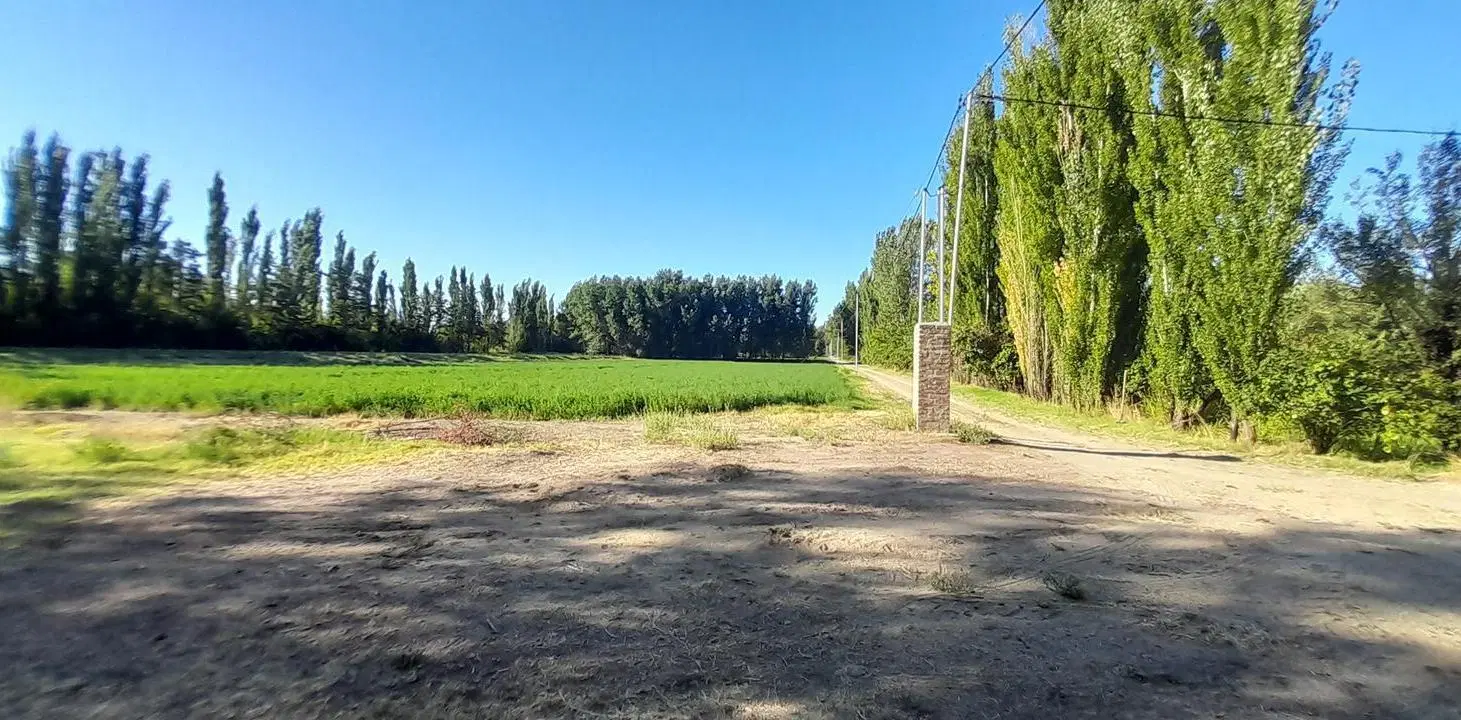 VENTA - Chacra 12 Ha - Alfalfa - Cervantes - Rio Negro 2
