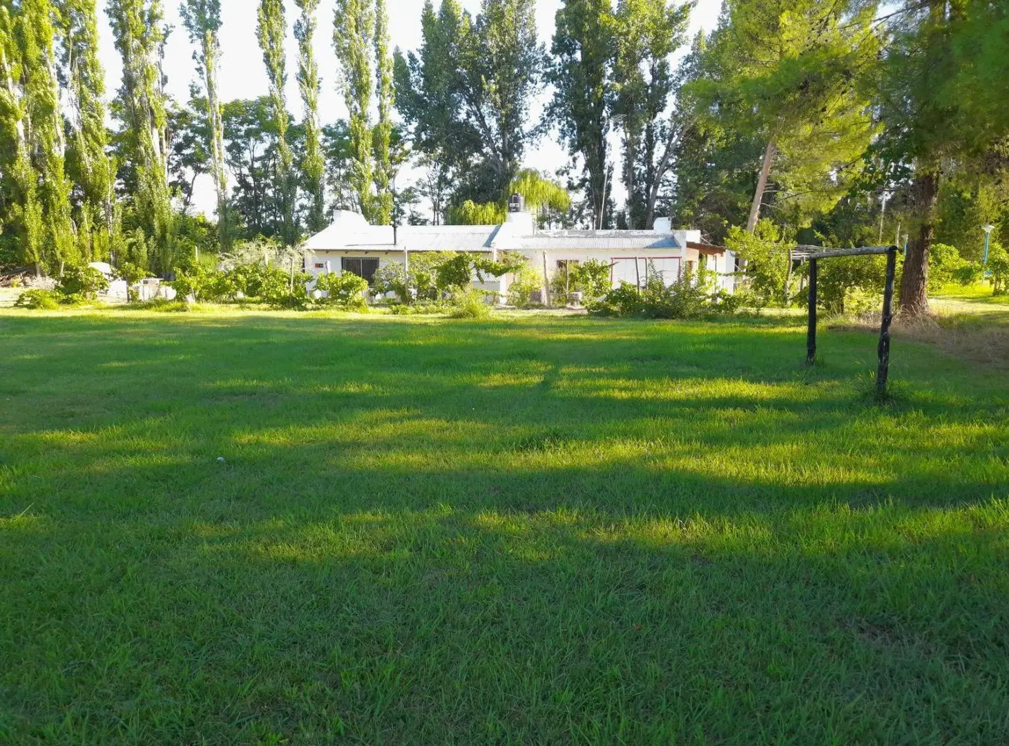 VENTA - Chacra 12 Ha - Alfalfa - Cervantes - Rio Negro 4