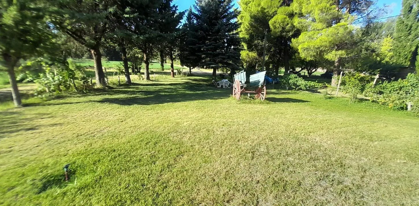 VENTA - Chacra 12 Ha - Alfalfa - Cervantes - Rio Negro 5
