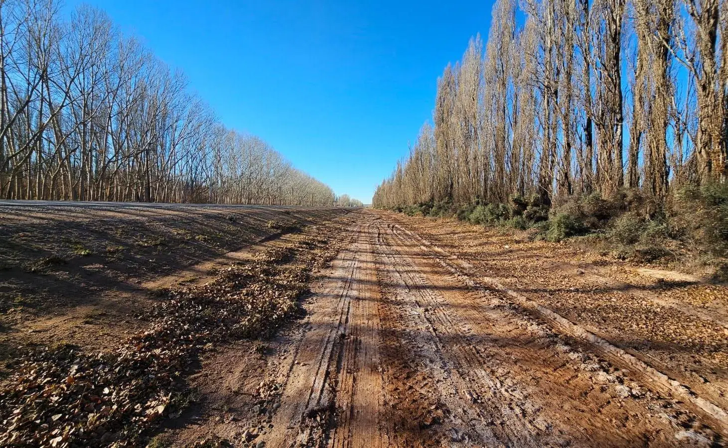 VENTA - Chacra 50 Ha - en producción - Frente de Ruta - Añelo - Neuquén 2