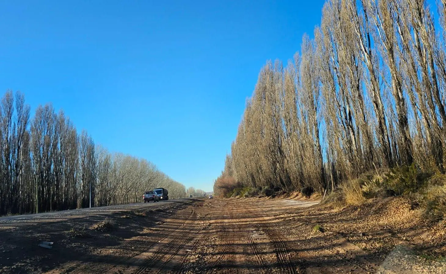 VENTA - Chacra 50 Ha - en producción - Frente de Ruta - Añelo - Neuquén 4