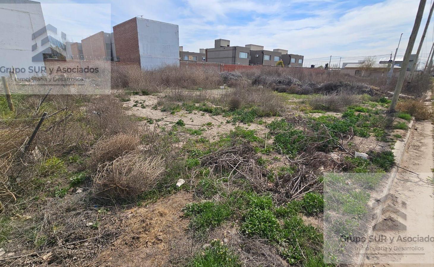 Foto de VENTA - Terreno 487 m2 - Neuquen - Confluencia Rural -, imagen 1