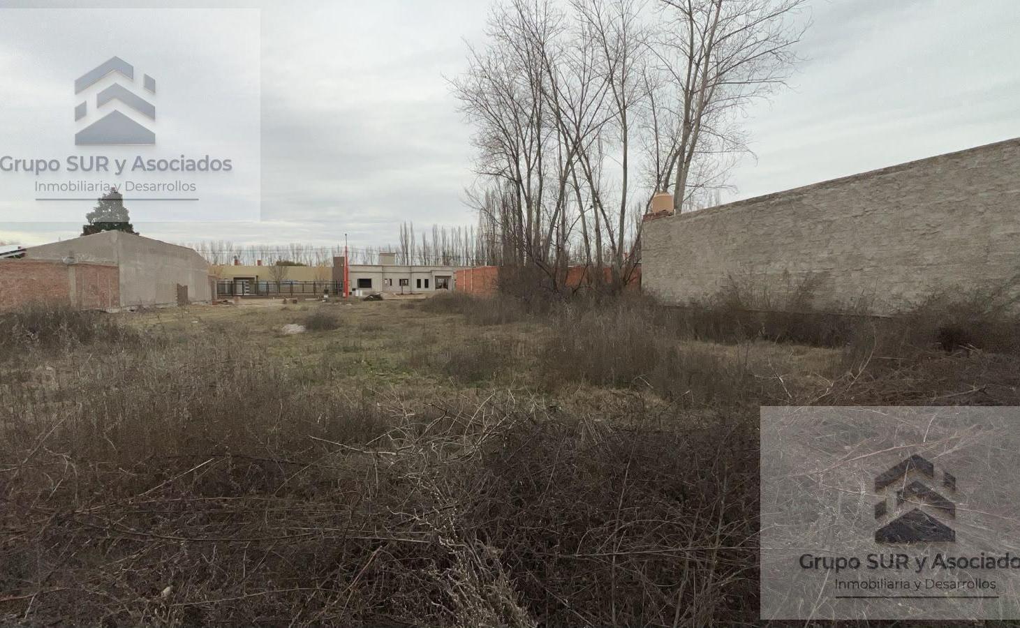 Foto de Terreno loteo vidal cinco saltos, imagen 4