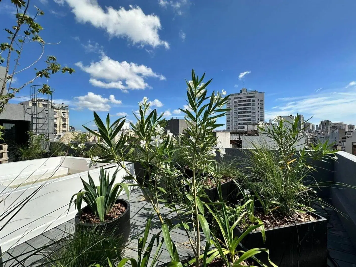VENTA DEPARTAMENTO EN PALERMO PISO ALTO A ESTRENAR 4