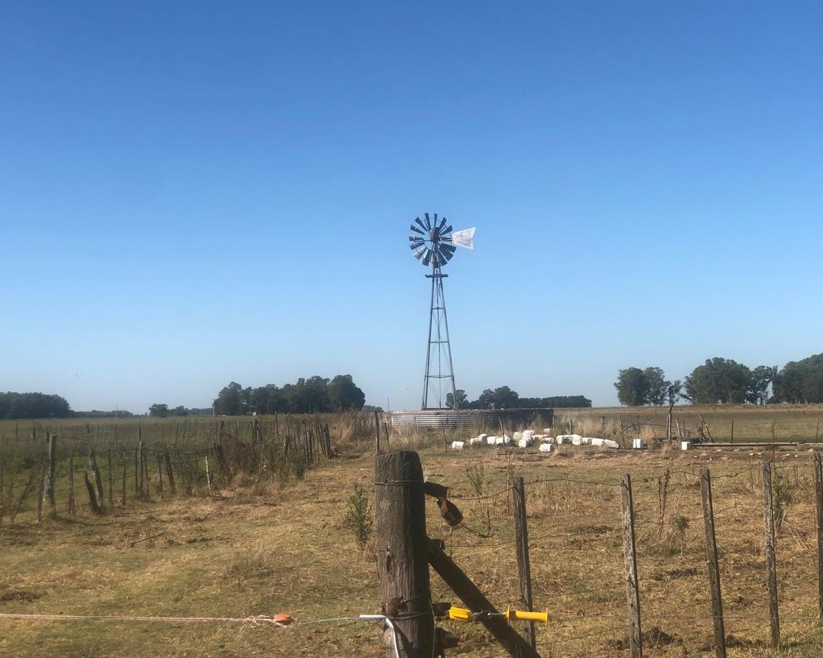 Campo en General Alvear 4