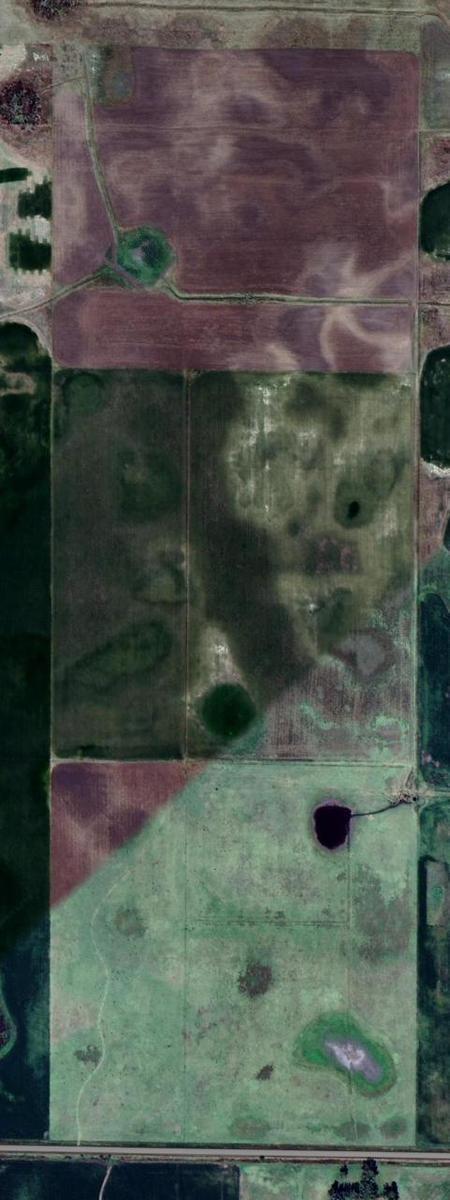 Campo en General Alvear 5