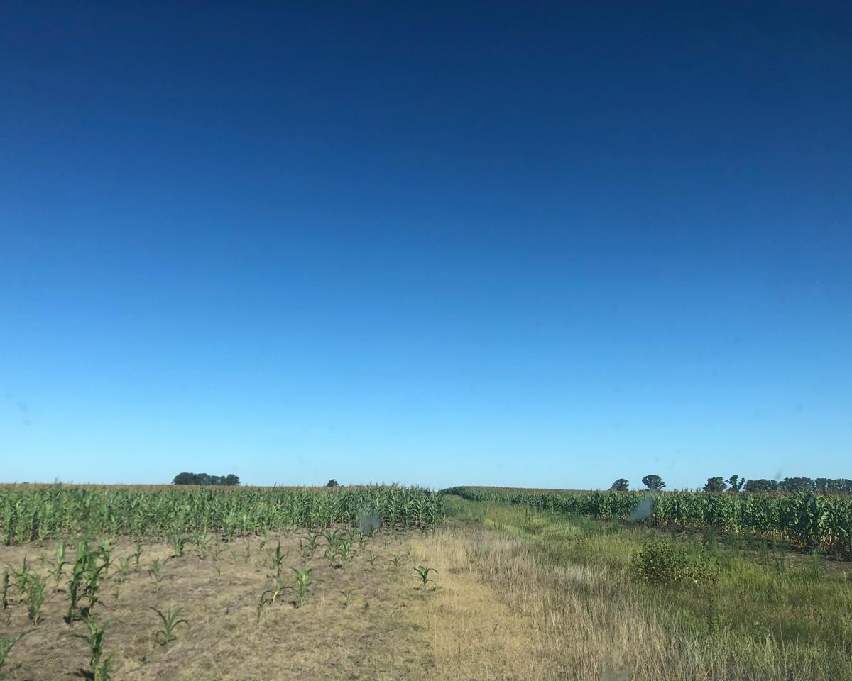 Campo en General Alvear 1
