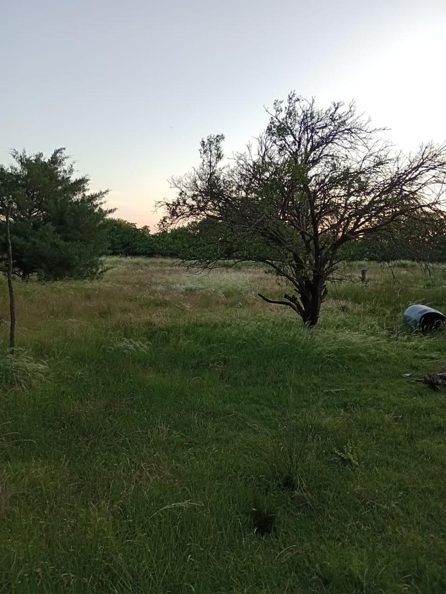 Terreno en Polvaredas