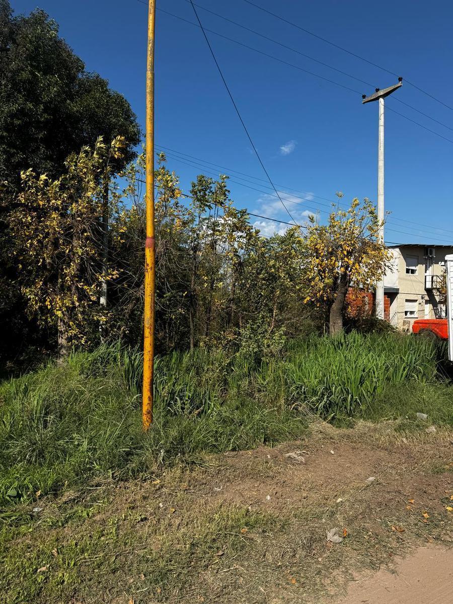 Terreno en Saladillo 2