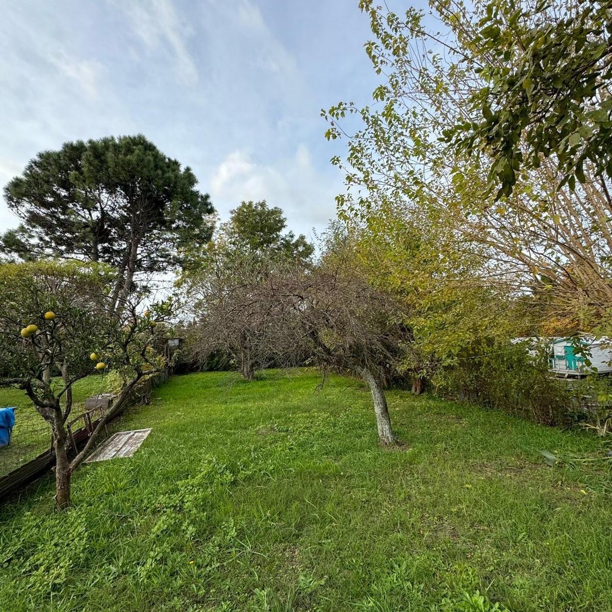 Casa - Saladillo 5