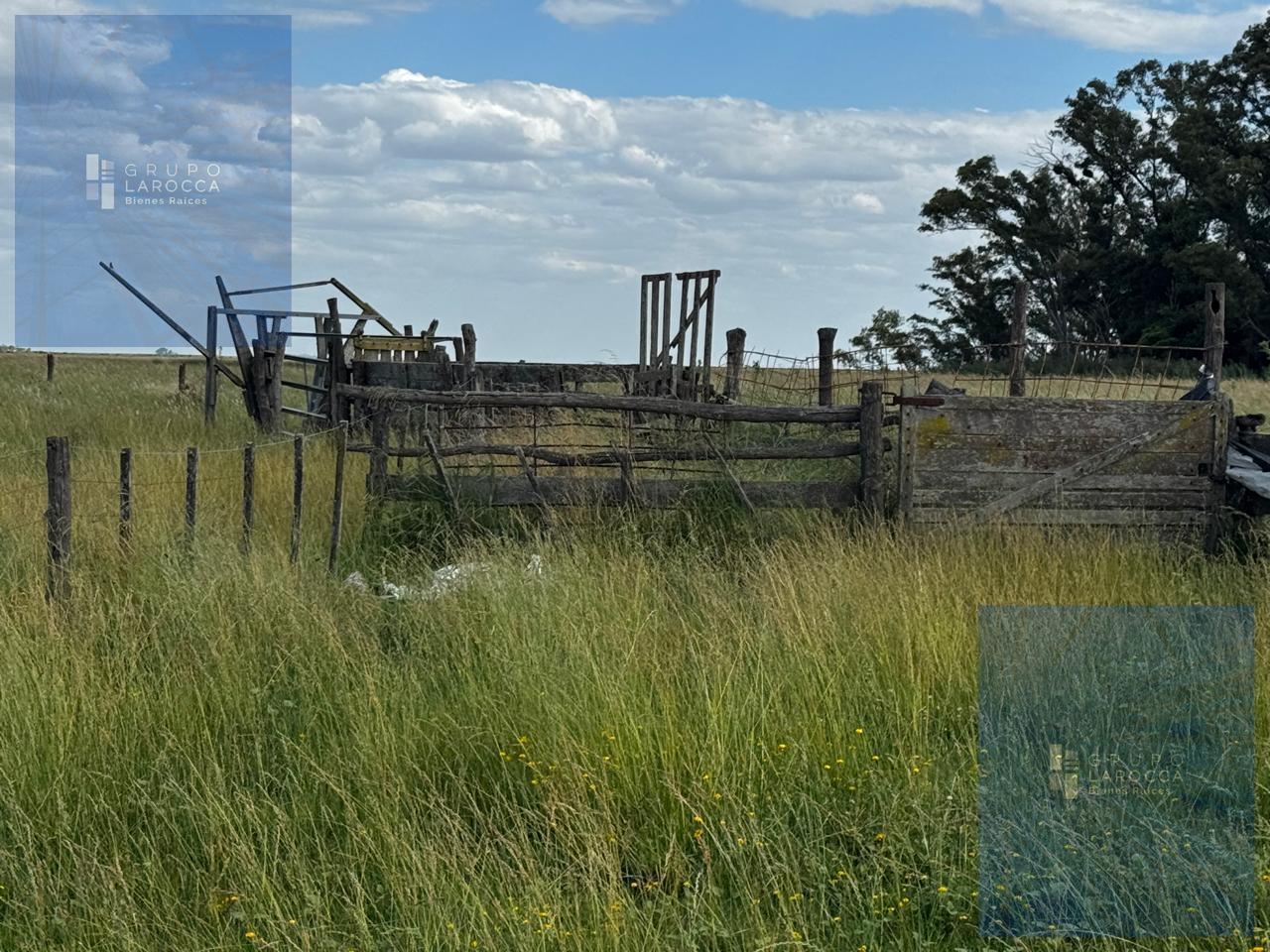 Foto de Campo en Bolivar, imagen 3