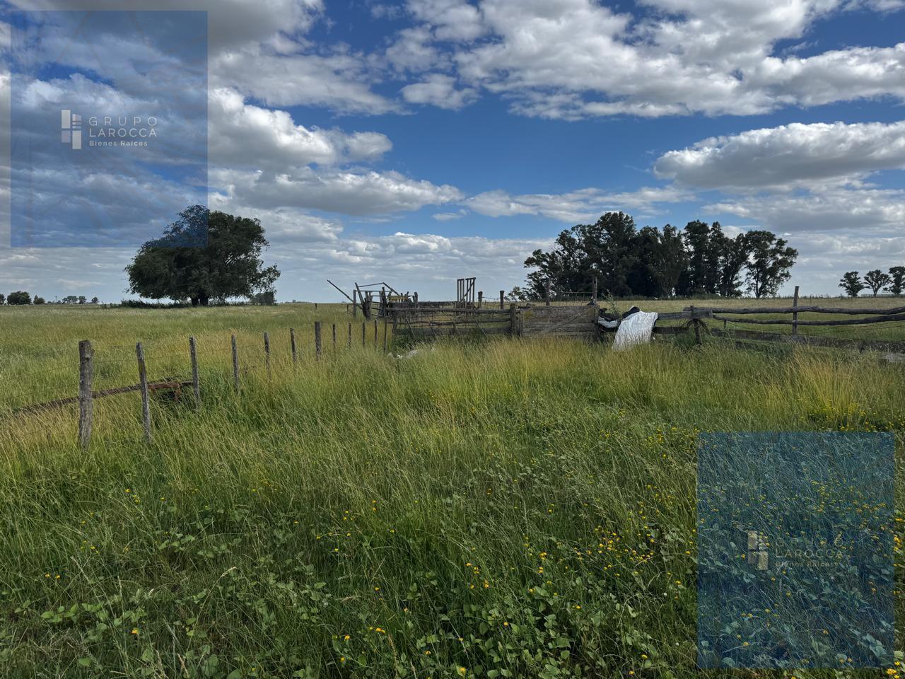 Foto de Campo en Bolivar, imagen 2