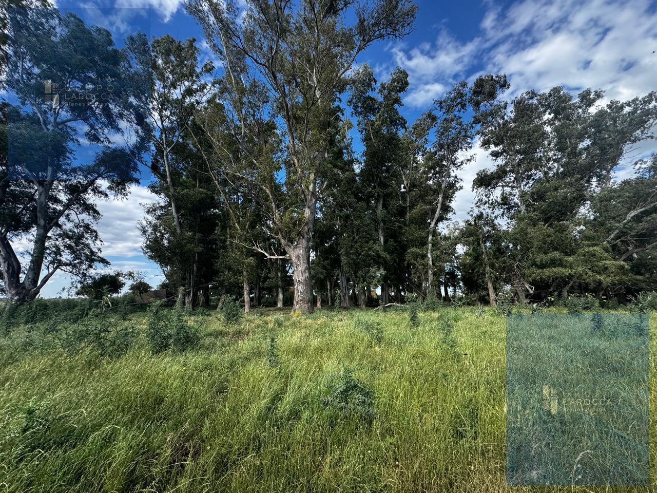 Foto de Campo en Bolivar, imagen 3