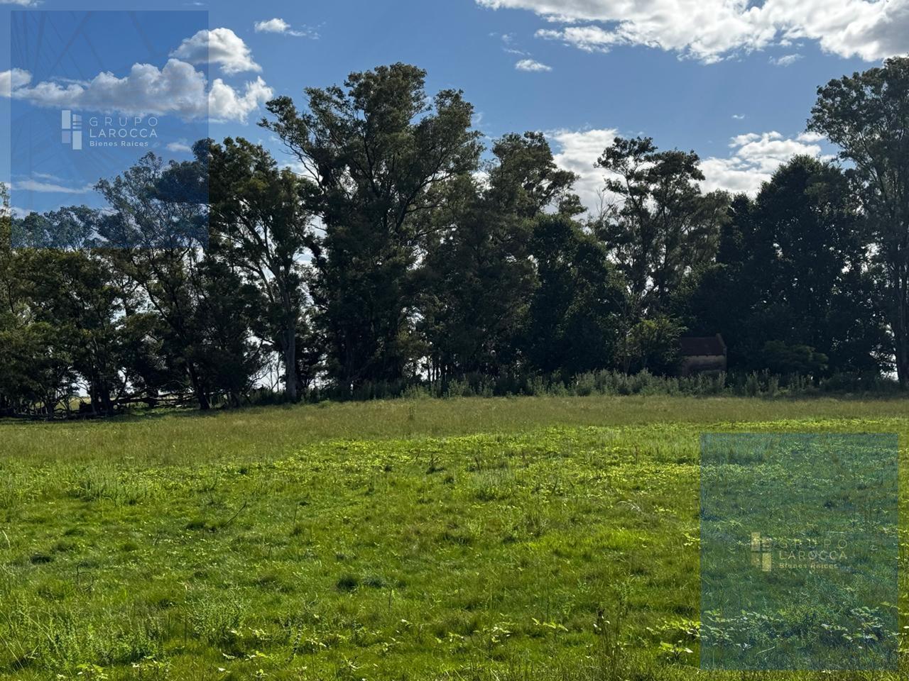 Foto de Campo en Bolivar, imagen 2