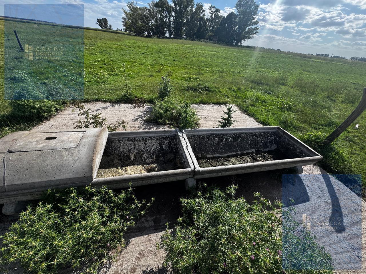 Foto de Campo en Bolivar, imagen 5