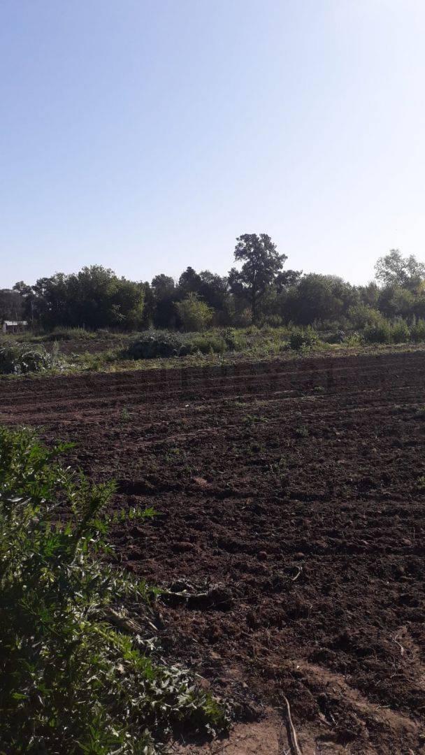 VENTA LOTE PONTEVEDRA 7500M2