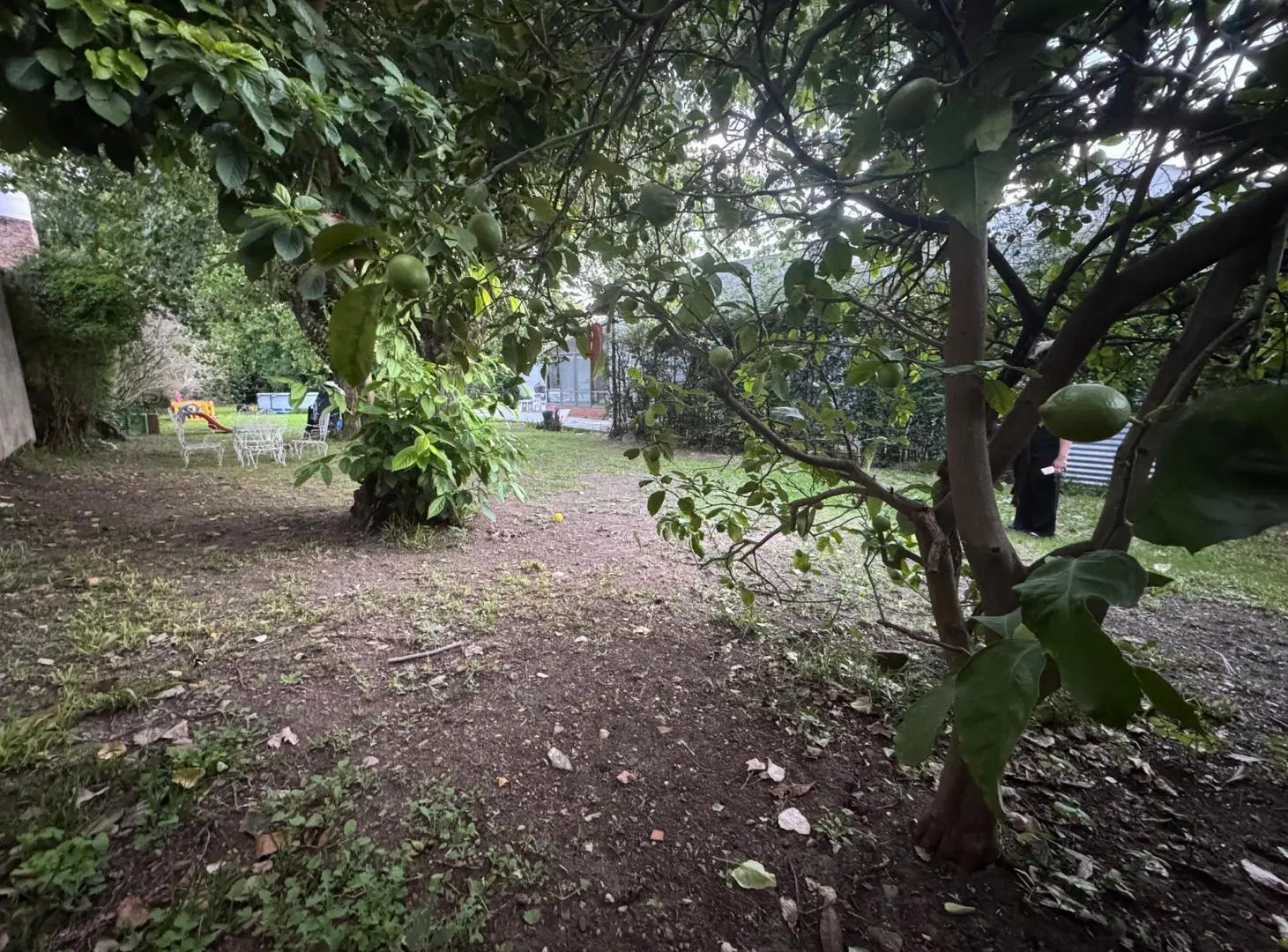 LOTE EN VENTA EN MARTIN CORONADO 4
