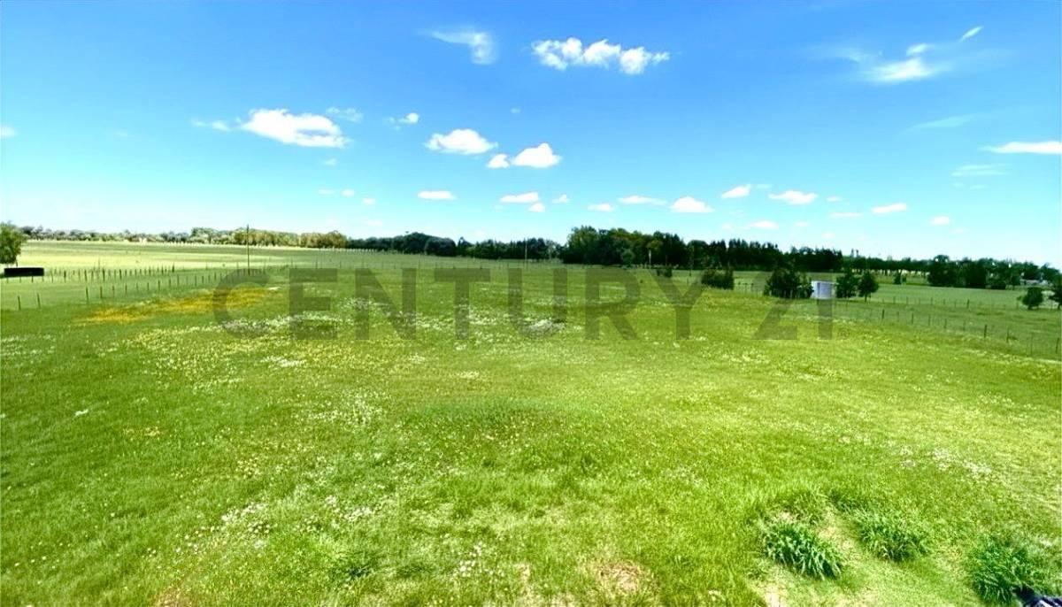 Foto de Venta lote con proyecto de vivienda aprobado y obra iniciada, CHACRAS, imagen 3