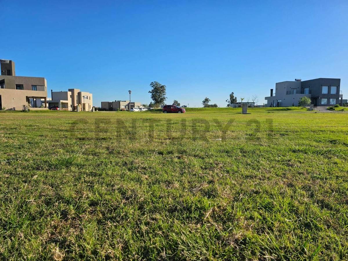 Foto de VENTA LOTE CANNING, imagen 5