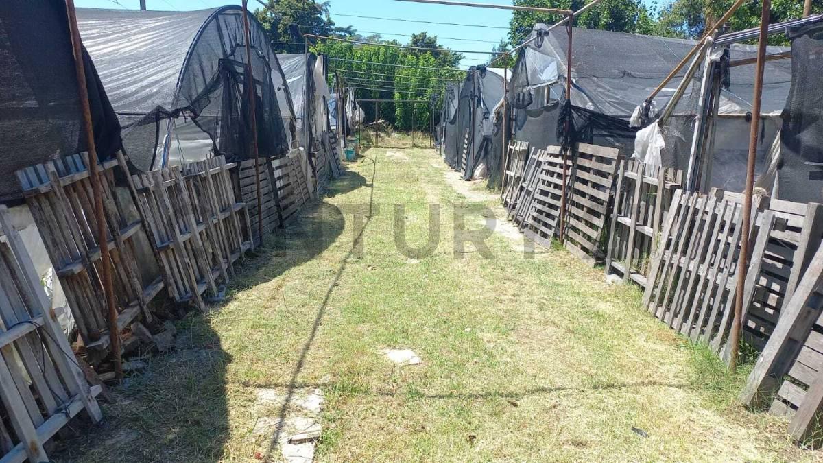 Foto de VENTA LOTE 1865 M2 ITUZAINGO NORTE IDEAL INVERSOR, imagen 5