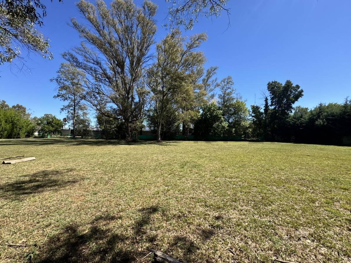 Foto de VENTA LOTE 1560 M2 FRANCISCO ALVAREZ FACIL ACCESO, imagen 5