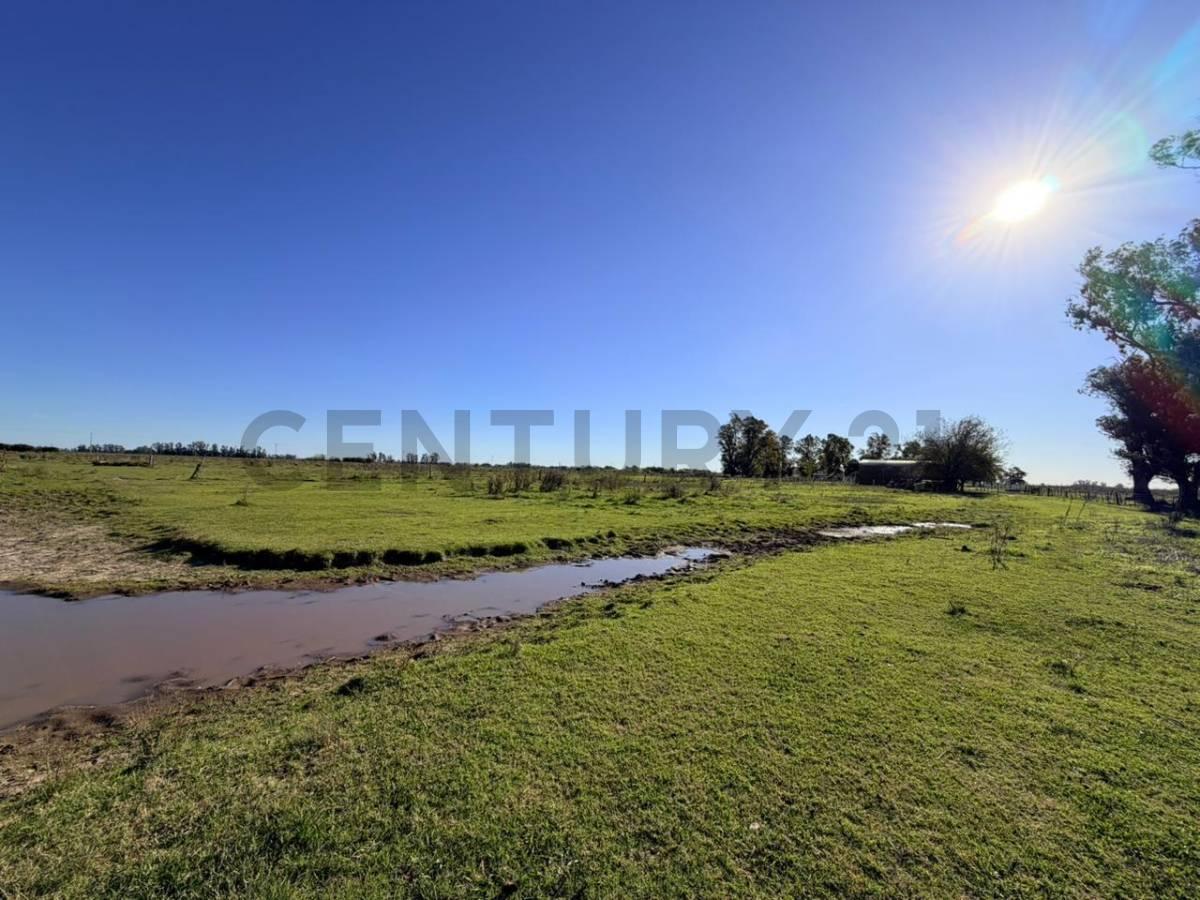 Foto de CAMPO VENTA 37 HECTAREAS GENERAL LAS HERAS, imagen 2